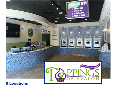 toppings of avalon frozen yogurt shop