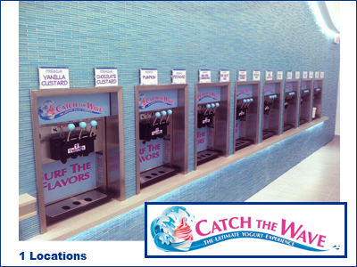 catch the wave frozen yogurt shop