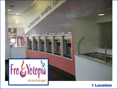 fro yotopia frozen yogurt shop