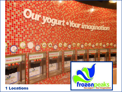 frozen peaks yogurt shop